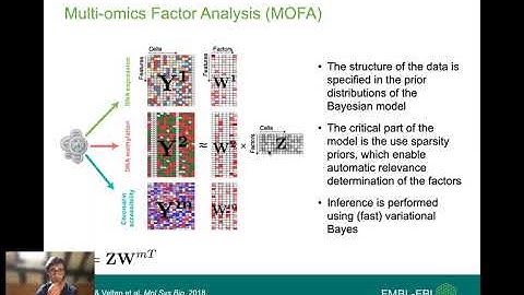 MOFA overview (VIB workshop 2021)