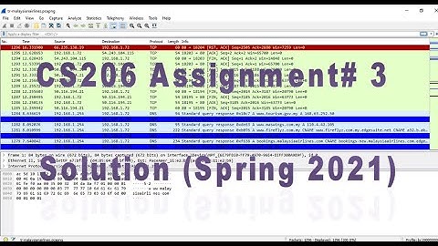 CS206 - Intro. to Network Design & Analysis | Assignment No. 3 Solution | Spring 2021 | 100% Correct