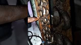 window AC leakage coil 😭🔚