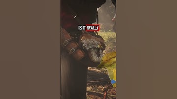 The Most Broken Item of All time in RDR2 #rdr2 #reddeadredemption
