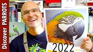 Parrot Calendars 2022 | Discover PARROTS by Discover PARROTS 1,855 views 2 years ago 5 minutes, 27 seconds