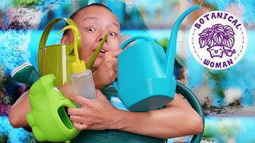 18 Houseplant Watering Routine Care Tips in 8 Minutes