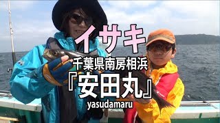 安田丸・千葉県相浜港・イサキ【オフショアマガジン】