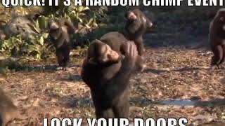 Random Chimp Event.