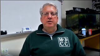 Teaching STEM Education – A Hands-On Approach Wealth
