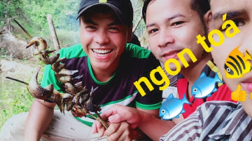 Đi Bắn Cá bằng súng tự chế  và cái kết được thỏa mãn ( bữa tiệc bên khe suối cùng ae)