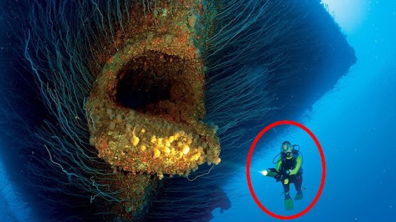 What He Discovered At The Bottom Of Ocean Shocked The World - YouTube