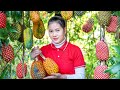 Harvest sea pineapple goes to the market sell  gardening  susan daily life