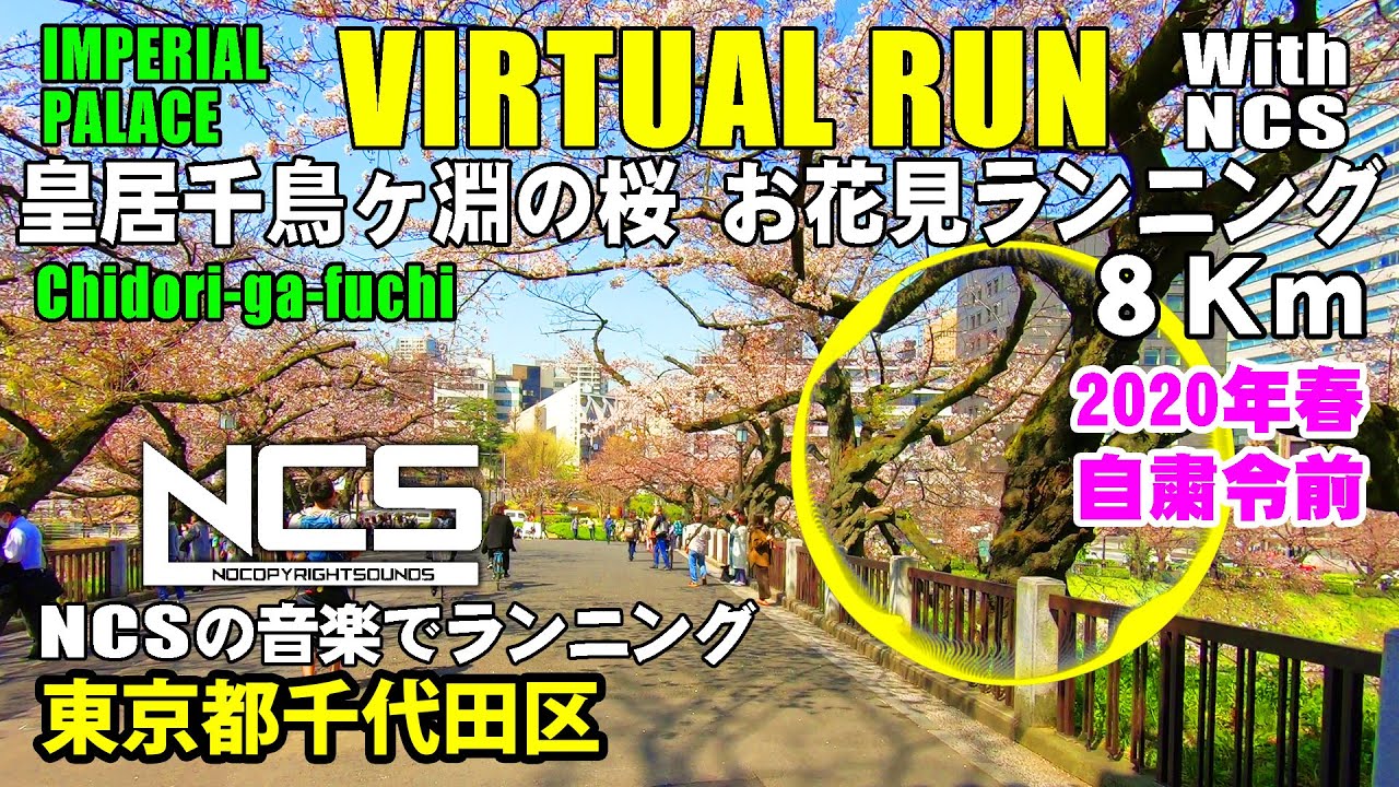 Virtual Run 皇居 千鳥ヶ淵の桜 お花見ランニング バーチャルラン トレッドミルで見る動画 年3月 Youtube
