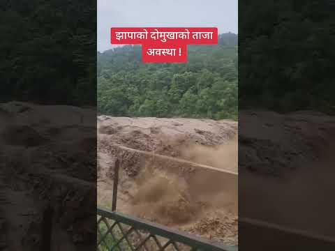 Jhapa Khola KO Naya Update Today News Update News Nepal Today Viralvideo Tredingvideo Shorts 