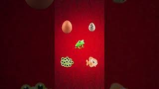 SAVE🎯 EGGS 💥#fillter #fillterchallenge #viral #egg #eggs #eggplant #eggrecipe #eggless #crazyegg #eg