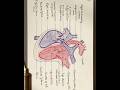 📚 Class 11 Biology: Body Fluids and Circulation | NCERT Notes| Part 3 🫀@AestheticBiologyNotes