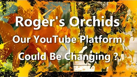 Our YouTube Platform Could Be Changing?