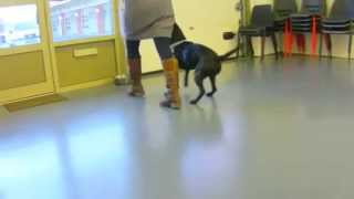 Harry Leg Weave And Cop Cop Large