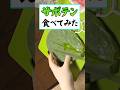 サボテン食べたことある??#shorts