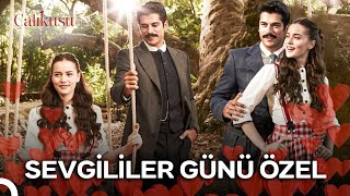 Sevgililer Günü Kamran Ve Feride Özel Sahneler Çalıkuşu