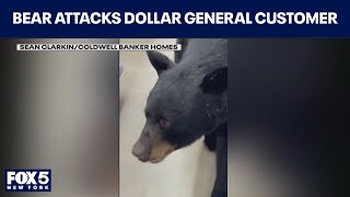'I led the bear the way I lead my clients': NJ bear attacks Dollar General customer, dog