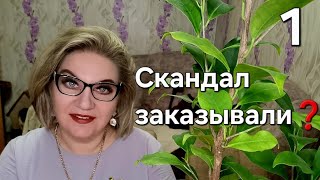картинка: Скандал заказывали❓️