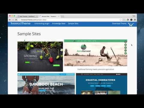 8 - WordPress Theme Overview Installation - 2016