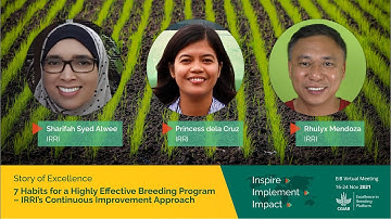 Seven habits for a highly effective breeding program – IRRI’s continuous improvement approach