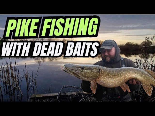 Pike Fishing For Beginners Float Ledger Set Up And Finding Depth