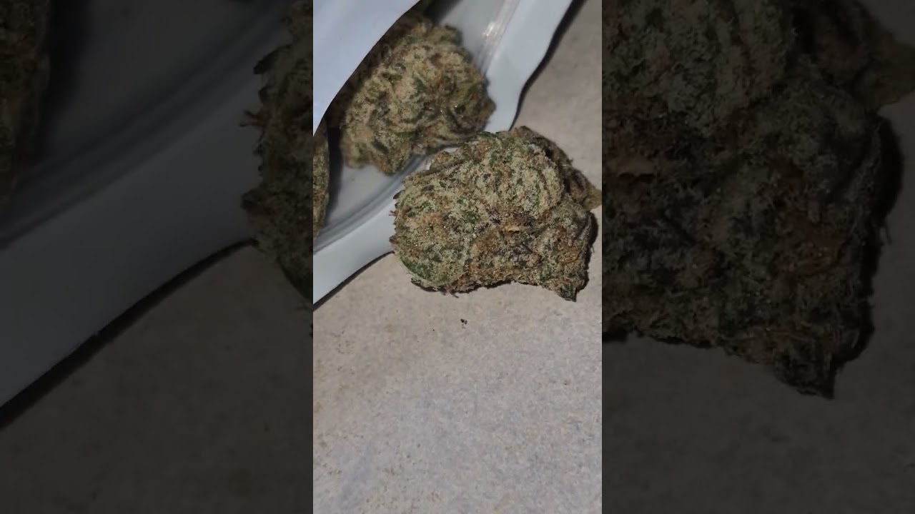 Zkittlez Cake - Jungle Boyz (zkittlez x wedding cake)