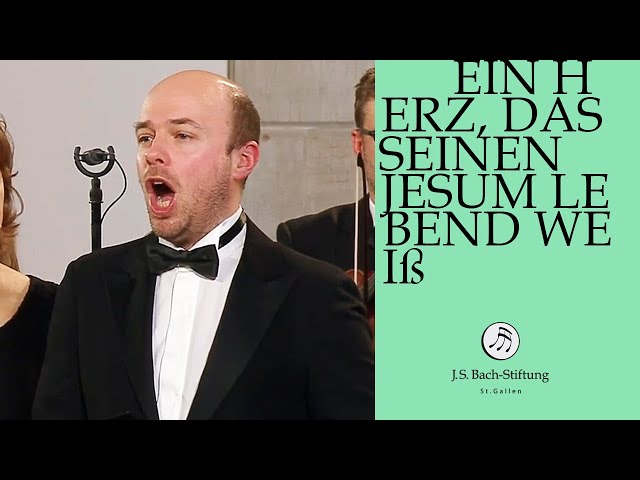 Bach-Stiftung