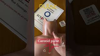 Famous Carotid pulse Net Worth