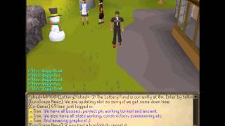 New RSPS - Need Staff - 317 Server