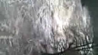 Video003.3gp