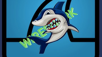 Wireshark Tutorial - ARP and ICMP traffic