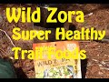 Wild zora  super healthy trail food