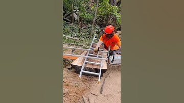 silver maple milled with Alaskan chainsaw mill