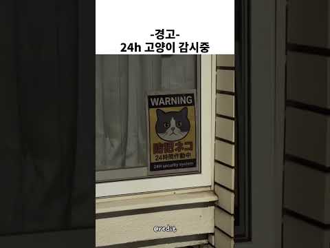 나를 감시해줘 thumbnail