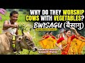 Bwisagu Festival Explained: Why Do These People Worship Cows with Vegetables?