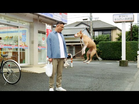 JP 日本郵政グループ ゆうパック CM 「ご近所散歩中・驚きの事実／安い」篇 30秒
