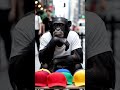 Nobody buying caps#animals #kids            subscribe