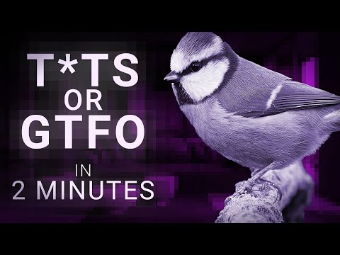 T*ts or GTFO explained in under 2 minutes