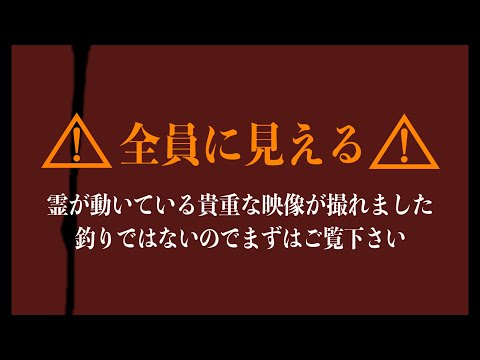 超SSS級【心霊映像】ついに動く幽霊の撮影に成功しました！