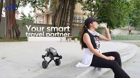 XSTO Wheeled Bipedal Robot A6