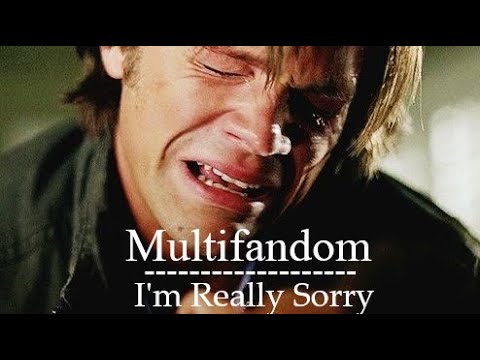 »Multifandom || I'm Really Sorry