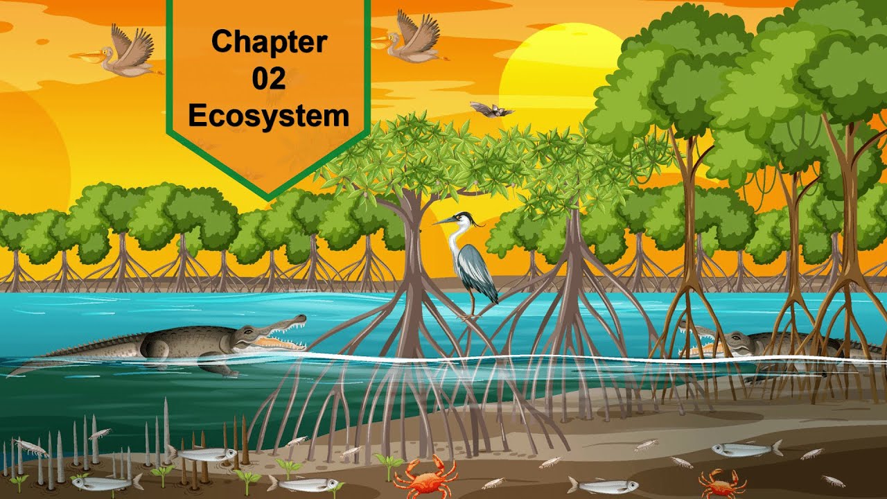 Ecosystem Grade 4 Unit2 General Science SNC PEN Academy