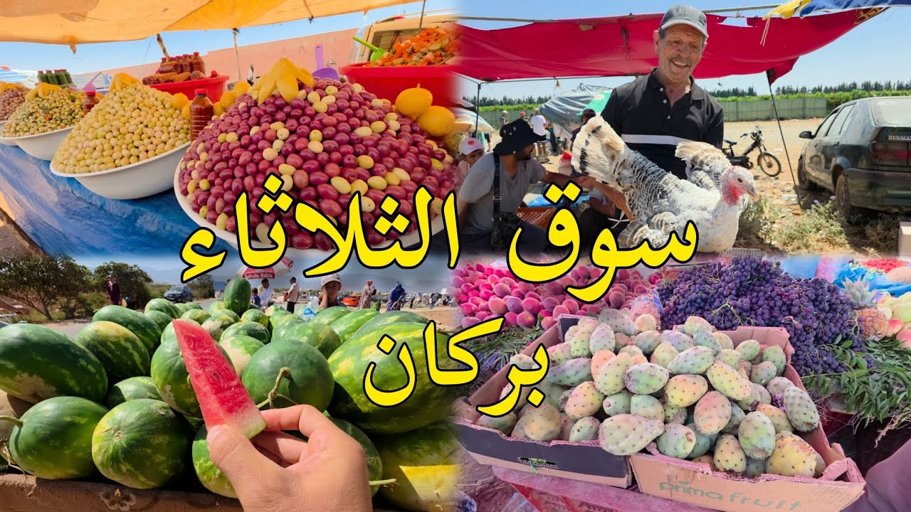 أجواء سوق الثلاثاء بركان هذا الصباح 🍉 فواكه صيفية وأثمنة مناسبة | Souk Berkane 2025