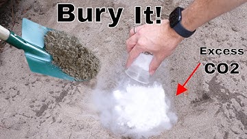 How Do We Get Rid of All The CO2?