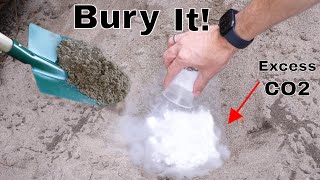 How Do We Get Rid of All The CO2?