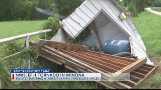 Famous NWS confirms EF-1 tornado touched down in Winona, uprooting trees and damaging buildings Profile