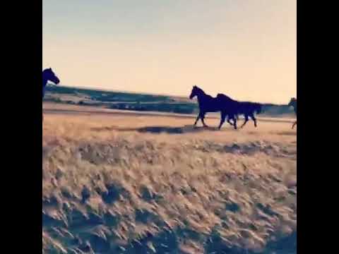 ٩ تشرين الثاني ٢٠١٩