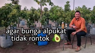 Menguatkan Bunga Agar Tidak Rontok