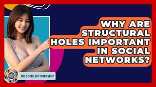 Why Are Structural Holes Important In Social Networks? - The Sociology Workshop