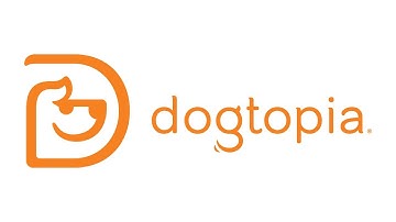 Video Review of Wiline Business Internet - Dogtopia of Miramar